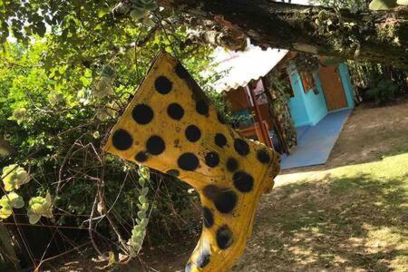 Casinha Azul De Penedo Villa Penedo  Buitenkant foto